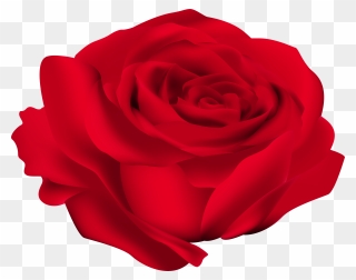 Rose Flower Clip Art "onerror='this.onerror=null; this.remove();' XYZ="data - Png Download